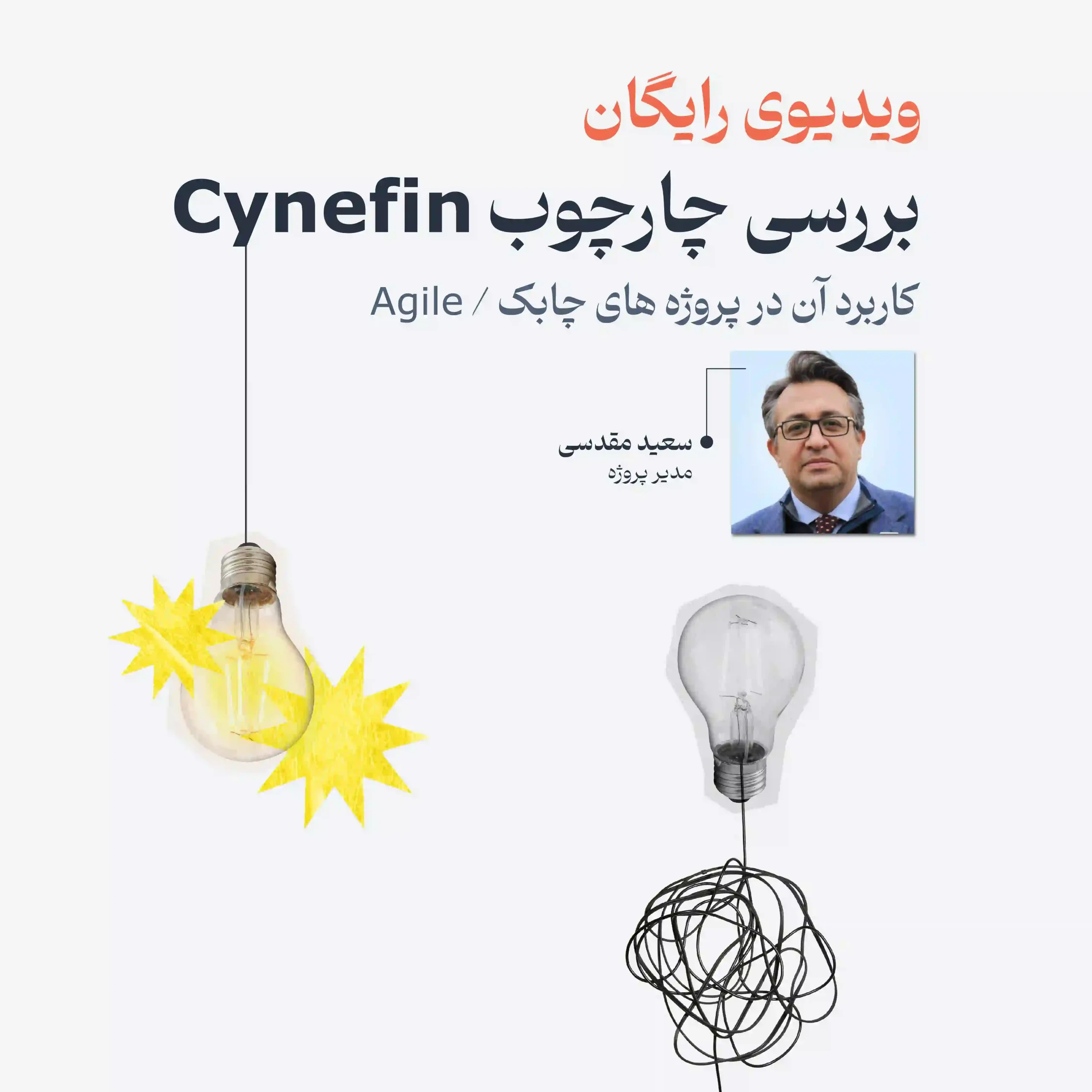 وبینار بررسی چارچوب cynefin